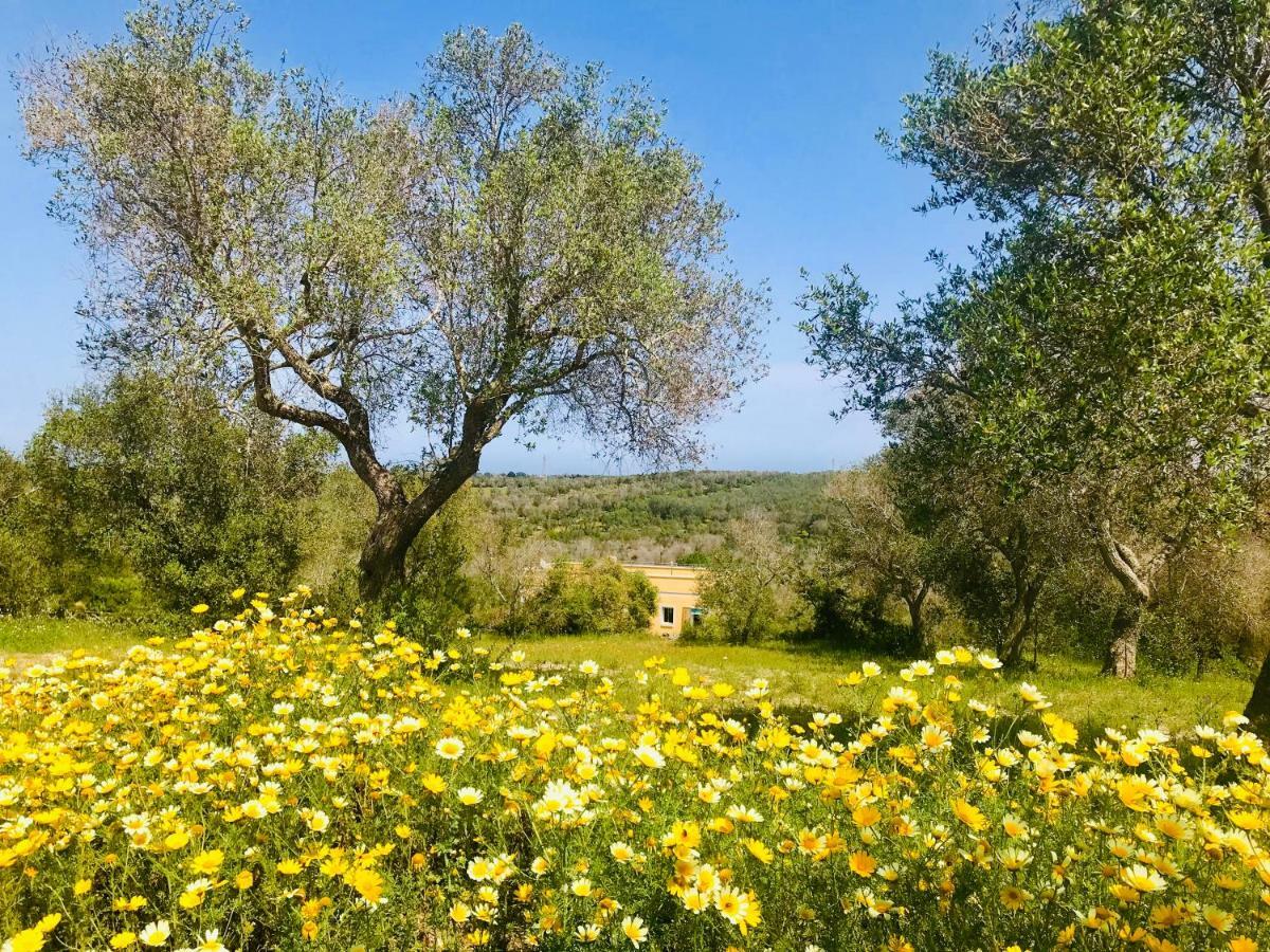 Le Palombelle Casa Vacanze Otranto Kültér fotó